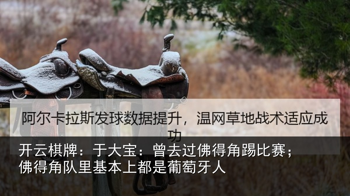 开云棋牌：于大宝：曾去相关情况情况萄牙人