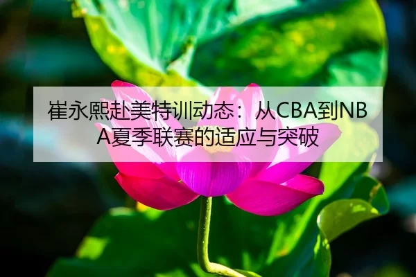 崔永熙赴美特训动态：从CBA到NBA夏季联赛的适应与突破