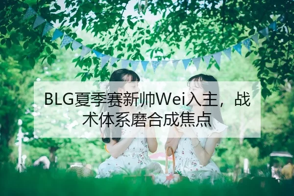 BLG夏季赛新帅Wei入主，战术体系磨合成焦点