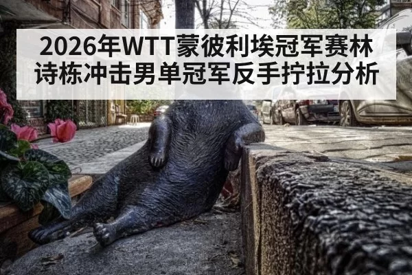 2026年WTT蒙彼利埃冠军赛林诗栋冲击男单冠军反手拧拉分析